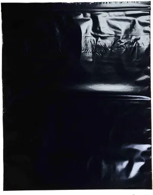 12" x 15" 2-Mil Black Reclosable Zipper Bags - 100 Pack of Durable Plastic Storage Bags for Organization, Storage, Parts, Travel, Holiday - SKU: r1215bk-100