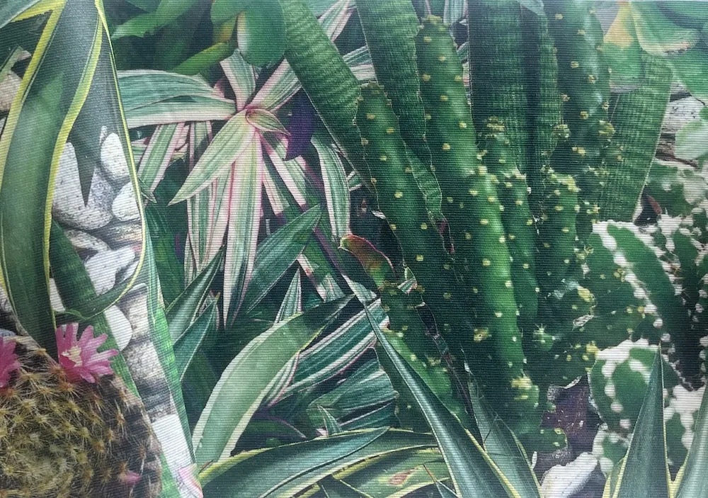 Cactus Rock Garden Laminated Cotton (Made in Spain)
