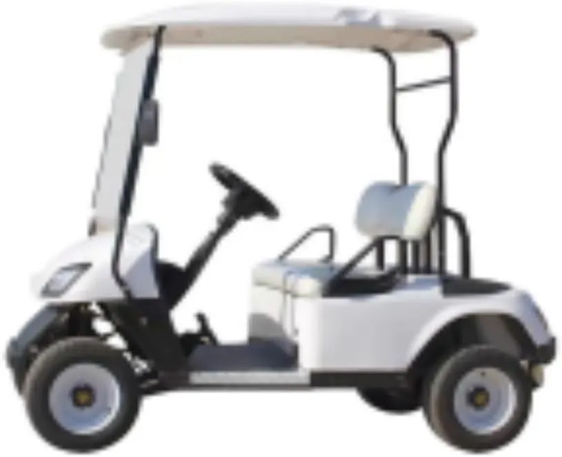 Electric Golf Cart