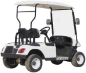 Electric Golf Cart