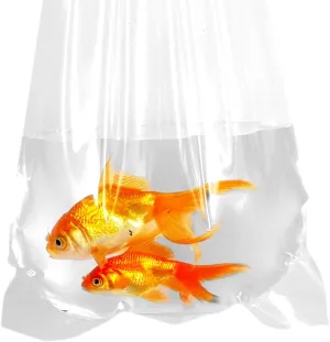 Fishery Bags 6 Inches Leak Proof Rounded Bottom Corners Clear Plastic Fish Bags for Marine and Tropical Fish Transport. (6" x 14" / 1000 Pack / 2 Mil)