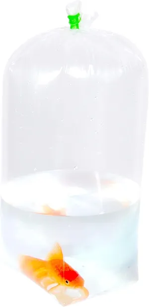Fishery Bags Leak Proof Flat Bottom Clear Plastic Fish Bags for Tropical and Marine Fish Transport 2 Mil. (5" x 4" x 16" / 100 Pack)