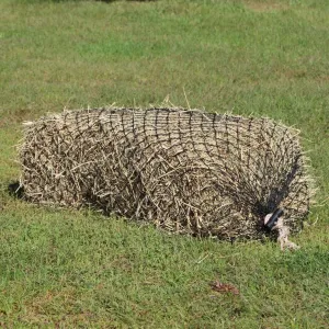 hay chix Hay Nets for Horses - Slow Feed 2-Strand Heavy Duty Square Bale Horse Hay Net (1 3/4” Holes) | Hay Bags for Horses | Fits 2-String Bales Up to 70 lbs. | Marine-Grade UV Treated Nylon