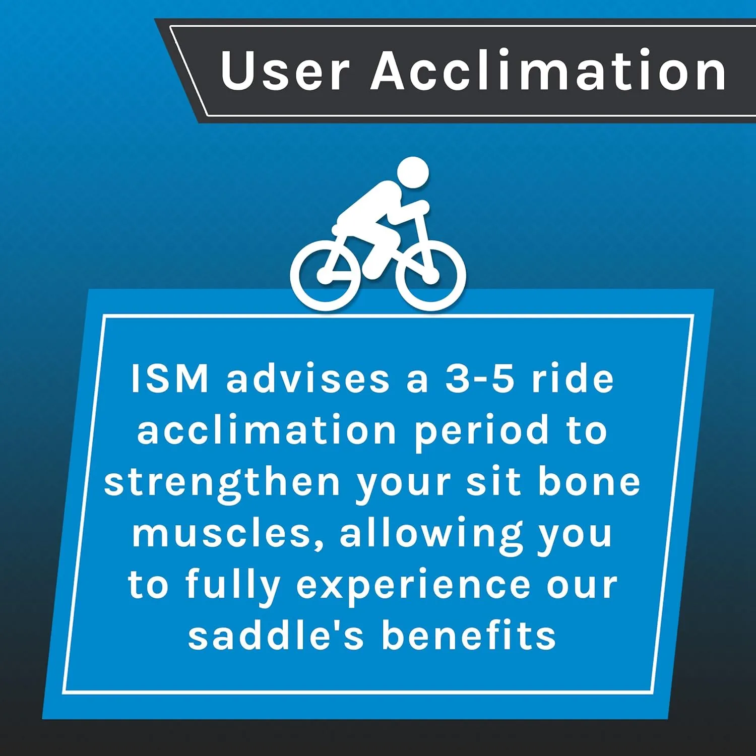 ISM PN Series Padded Road Bike Saddle - Professionally Designed Noseless Bicycle Seat for Road, Time Trial, Triathlon, and Gravel Bikes - Performance Road Bike Seat for Reduced Numbness