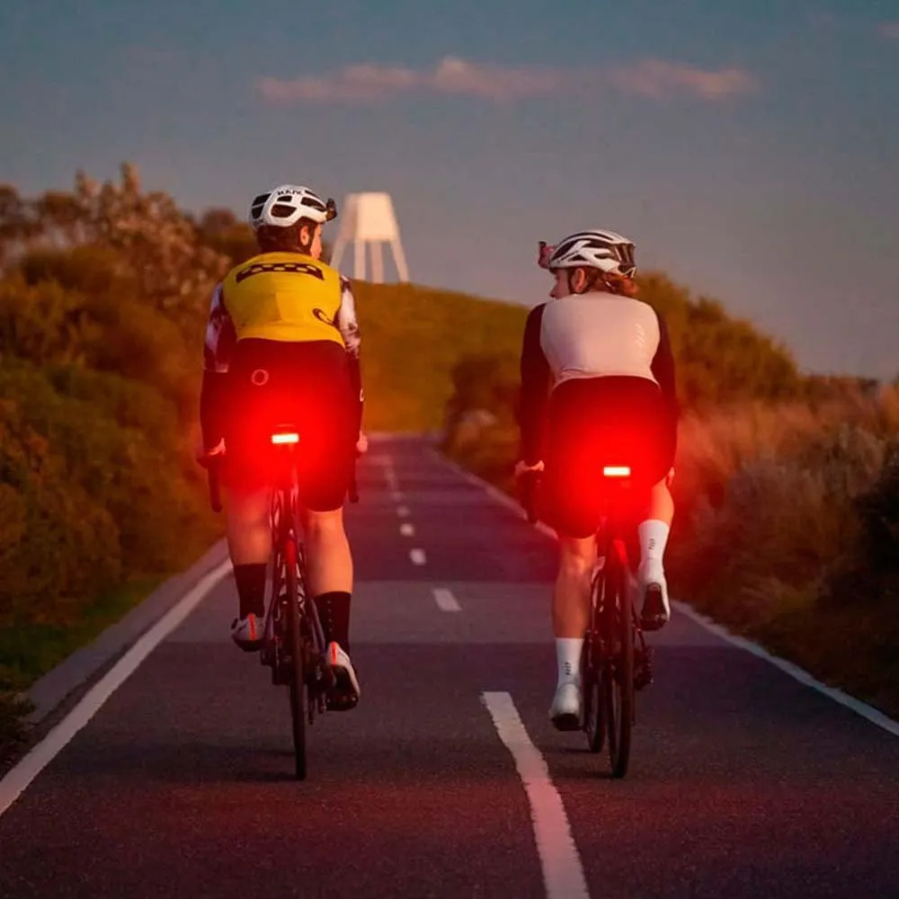 Knog Blinder Link Rear Bike Tail Light - 100 Lumen Rear Bike Light, 50 Hour Runtime, Low Battery Indicator, Powerful Bike Rear Light