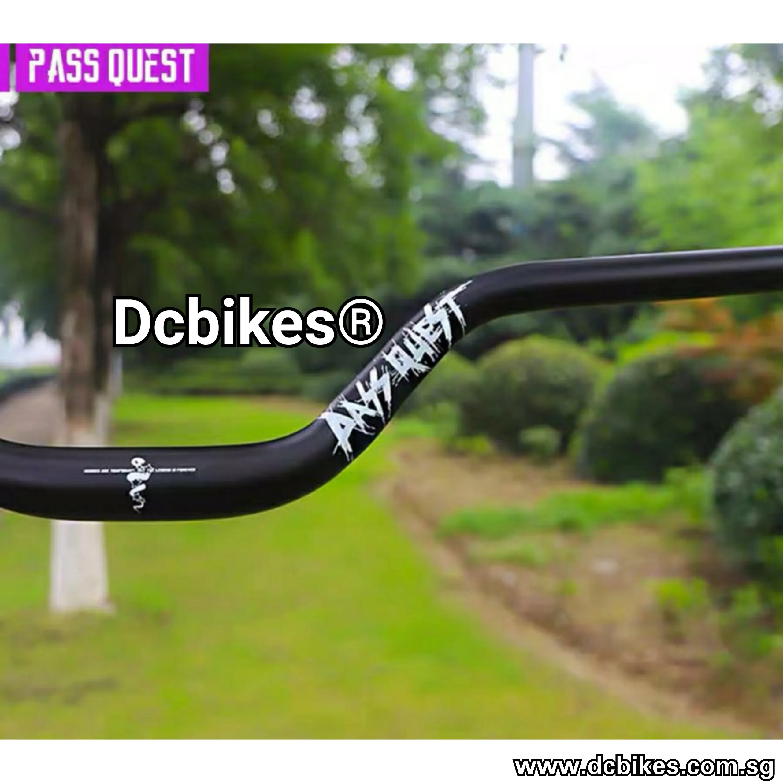 Pass Quest 750mm 55mm/81mm Rise Handlebar 31.8mm