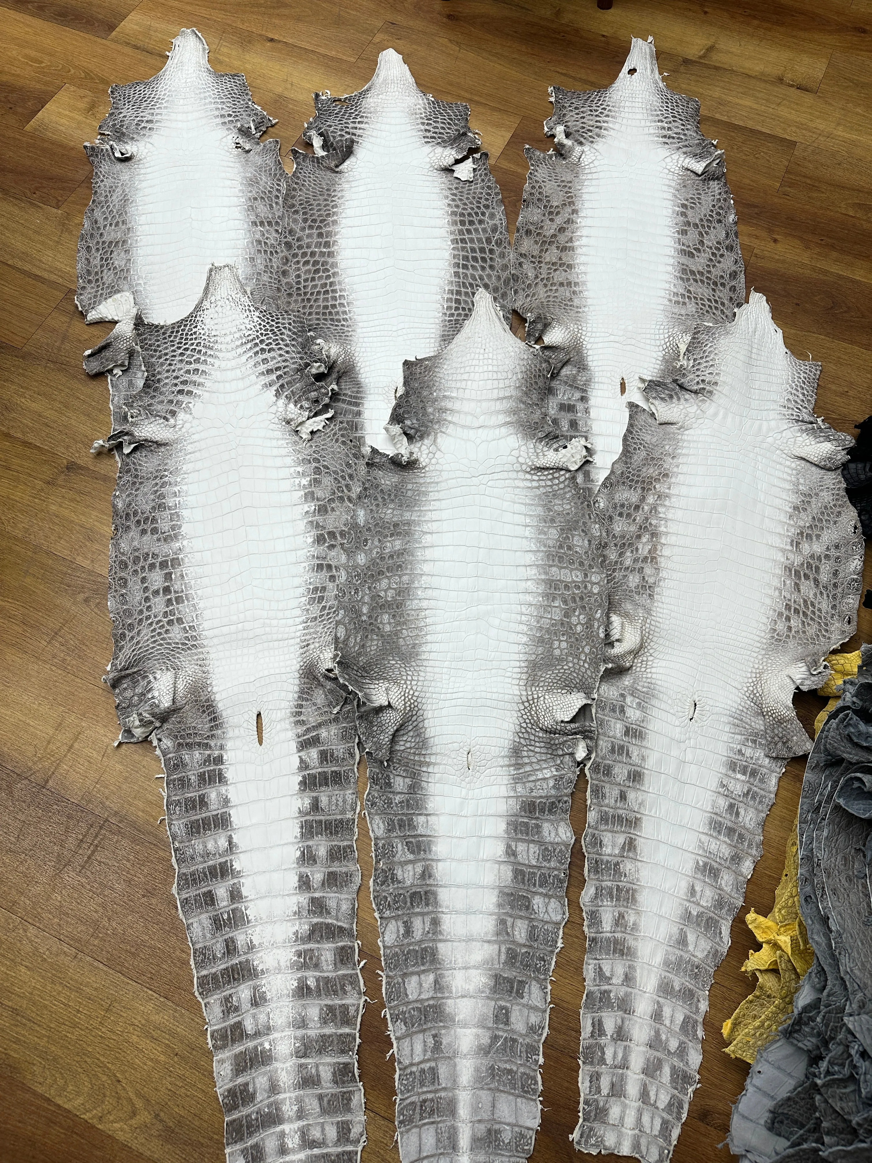 Preorder Crocodile Leather Golf Bags ,Golf Sets , Golf Cart Bags  & Golf Stand Bags