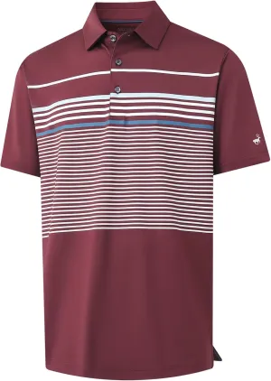Rouen Mens Polo Shirts Short Sleeve Dry Fit Lightweight Performance Casual Athletic Striped Print Golf Shirts for Men