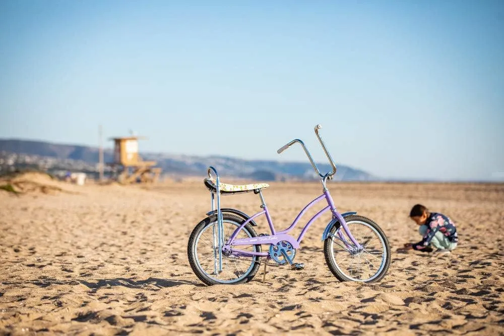 Schwinn Classic Sting-Ray and Fair Lady Beach Cruiser Bike, for Boys and Girls, 20-Inch Wheels, Single-Speed, High Rise Ape Handlebars, Coaster Brakes