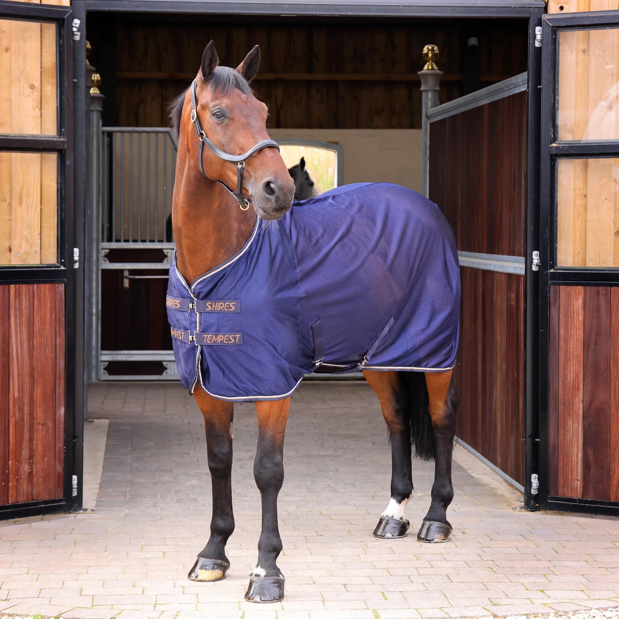 Shires Tempest Original Ink Tech Mesh Cooler
