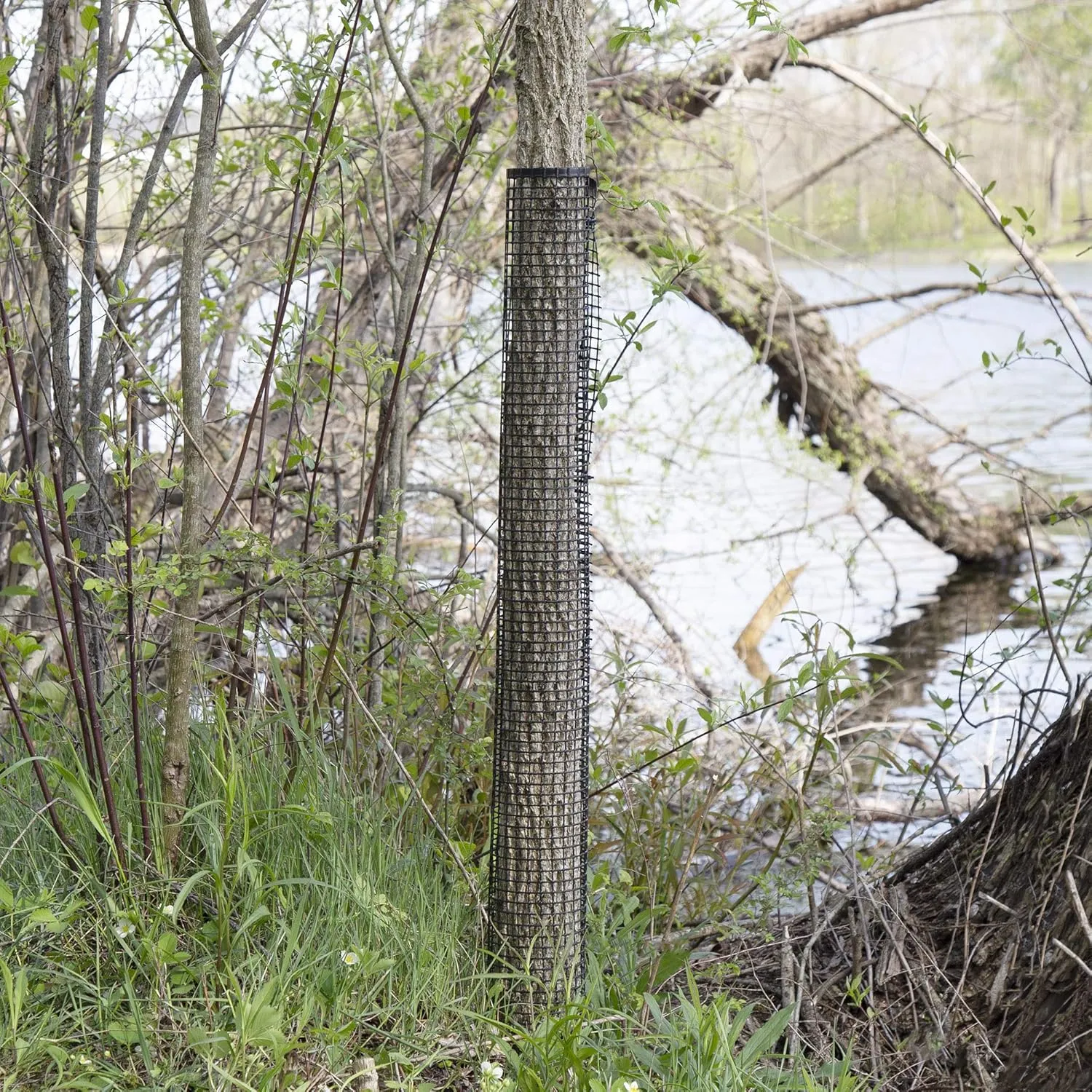 Tree Guards | Mesh Tree Bark Protector | Tree Deer Protection | Tree Trunk Protectors | 48" Tall x 4" Diameter (5 Pack)