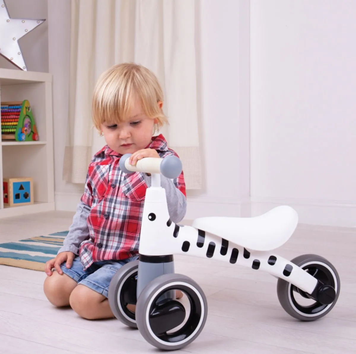 Zebra Diditrike